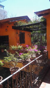 court yard with orange walls and many plants on all levels