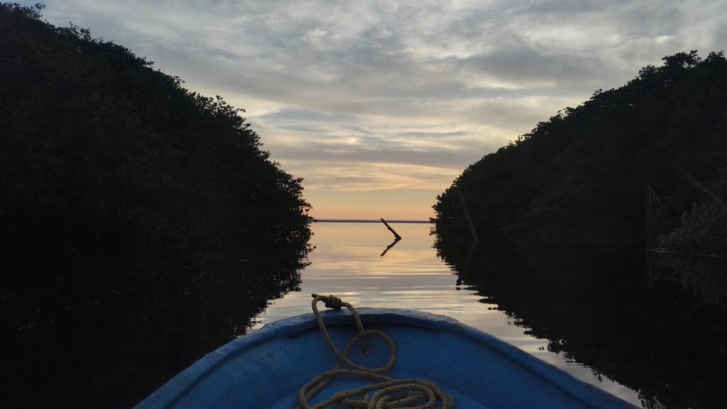 lagoon opening up to ocean through thick greens tip of boat steering straight into it dawn light with clouds