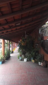 wood roofed walkway with many plants along the house