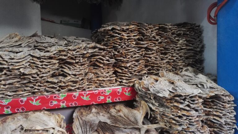 open dried fish stacked in shelf in loads